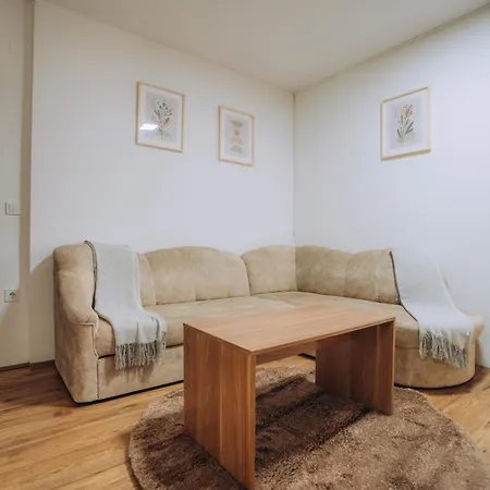 Apartment Sana